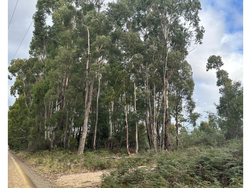 41 Wadleys Road, Reedy Marsh TAS 7304