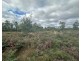 41 Wadleys Road, Reedy Marsh TAS 7304