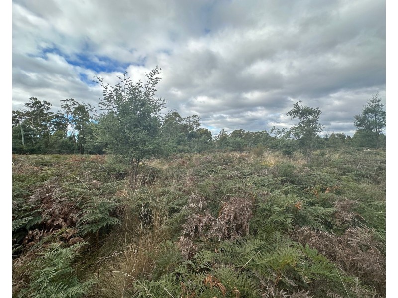 41 Wadleys Road, Reedy Marsh TAS 7304