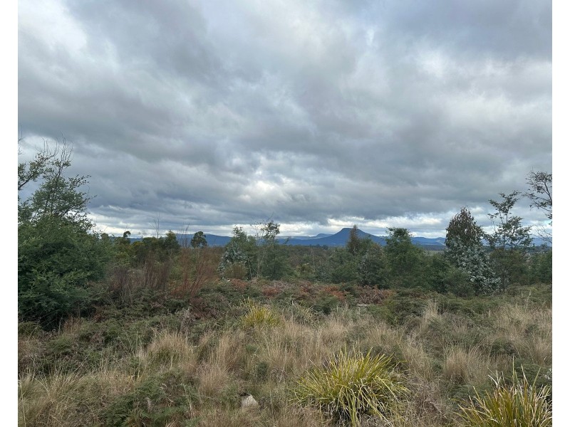 41 Wadleys Road, Reedy Marsh TAS 7304