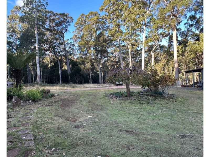 49 Farrells Road,, Reedy Marsh TAS 7304