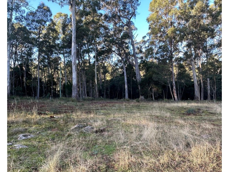 49 Farrells Road,, Reedy Marsh TAS 7304