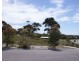 26 Wrinklers Drive, Scamander TAS 7215