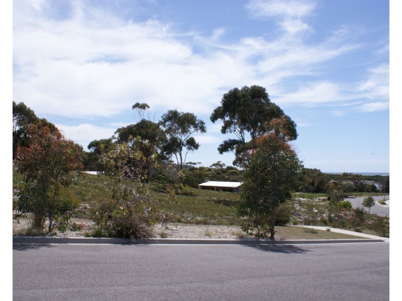 26 Wrinklers Drive, Scamander TAS 7215