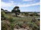 26 Wrinklers Drive, Scamander TAS 7215
