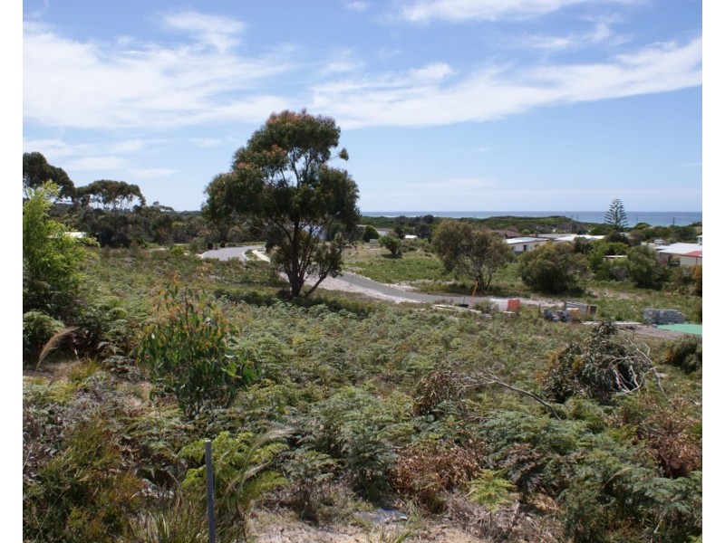 26 Wrinklers Drive, Scamander TAS 7215