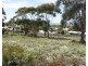 26 Wrinklers Drive, Scamander TAS 7215