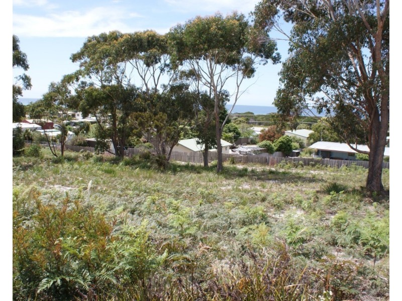 26 Wrinklers Drive, Scamander TAS 7215