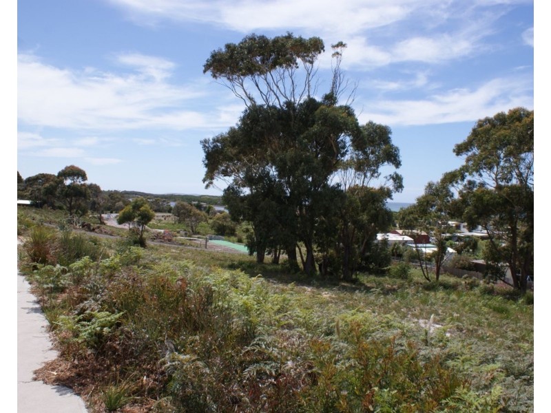 26 Wrinklers Drive, Scamander TAS 7215