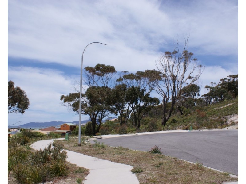 26 Wrinklers Drive, Scamander TAS 7215