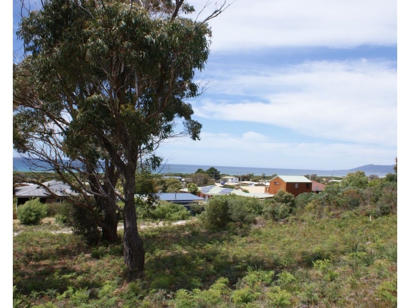 26 Wrinklers Drive, Scamander TAS 7215