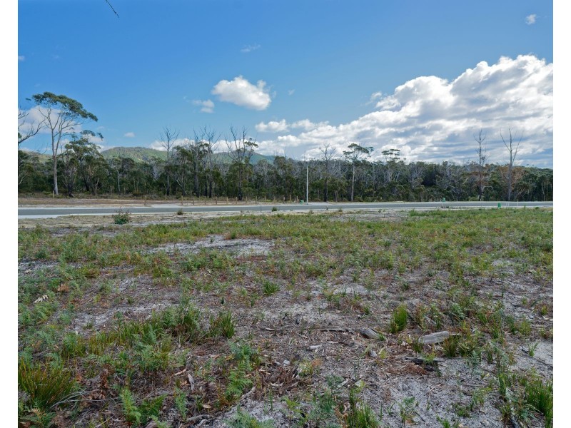 26 Wrinklers Drive, Scamander TAS 7215