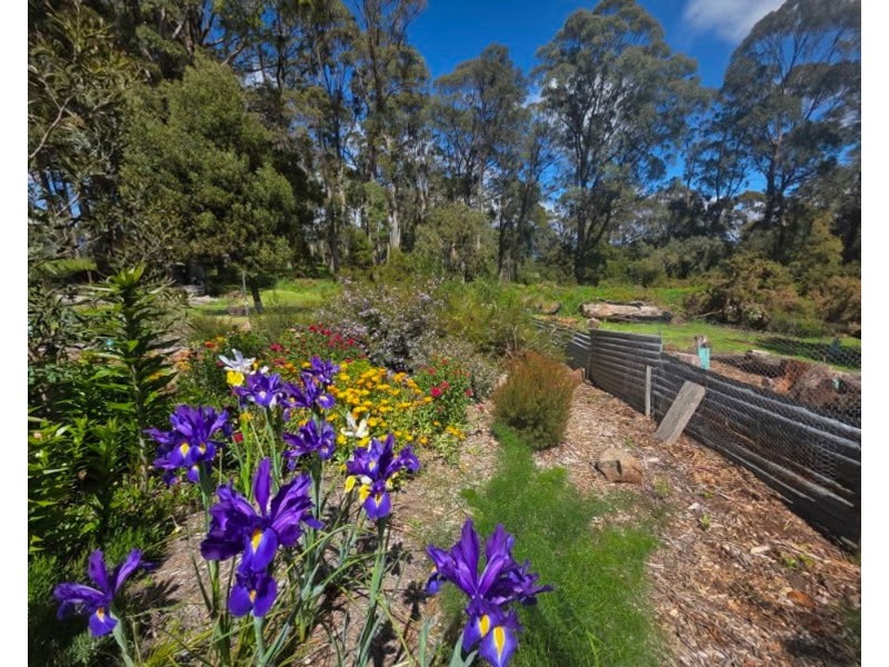 Mole Creek TAS 7304