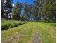 Mole Creek TAS 7304