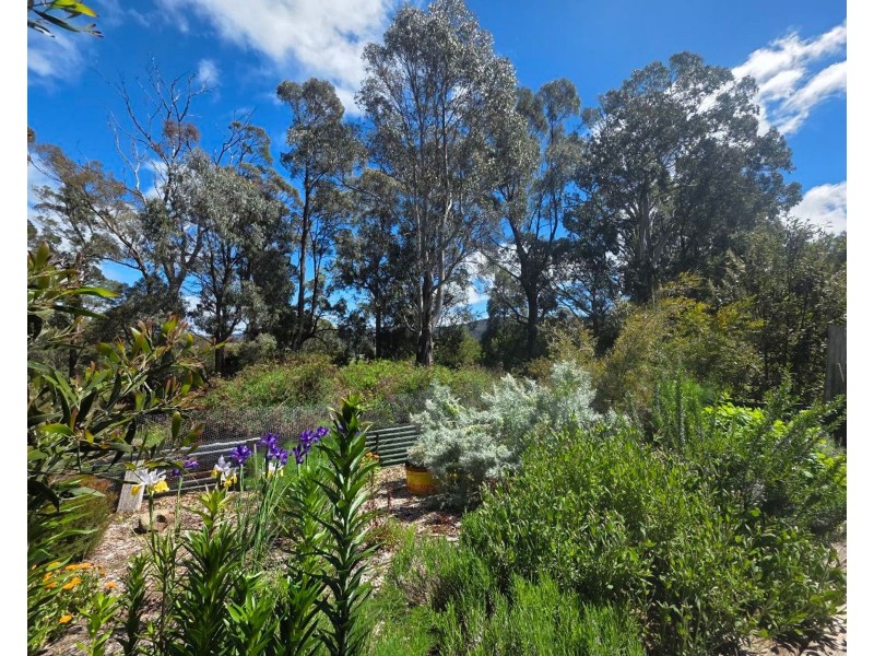 Mole Creek TAS 7304