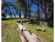 Mole Creek TAS 7304