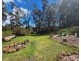 Mole Creek TAS 7304