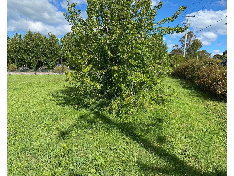 16 East Westbury Place,, Deloraine TAS 7304