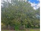 487 Weetah Road, Weetah TAS 7304