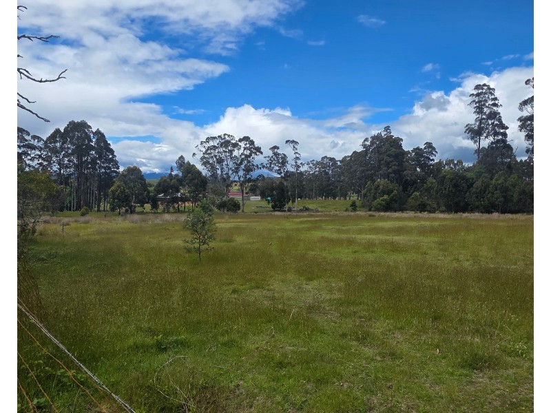 487 Weetah Road, Weetah TAS 7304