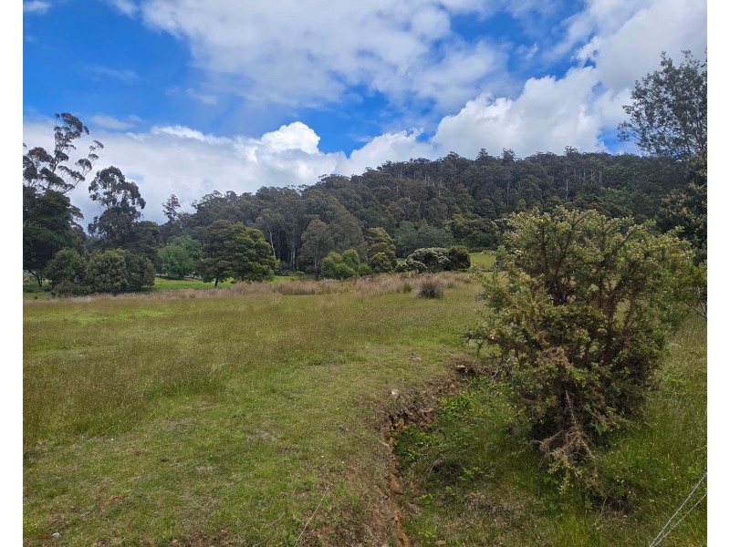 487 Weetah Road, Weetah TAS 7304