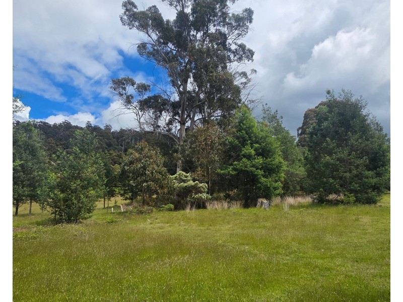 487 Weetah Road, Weetah TAS 7304