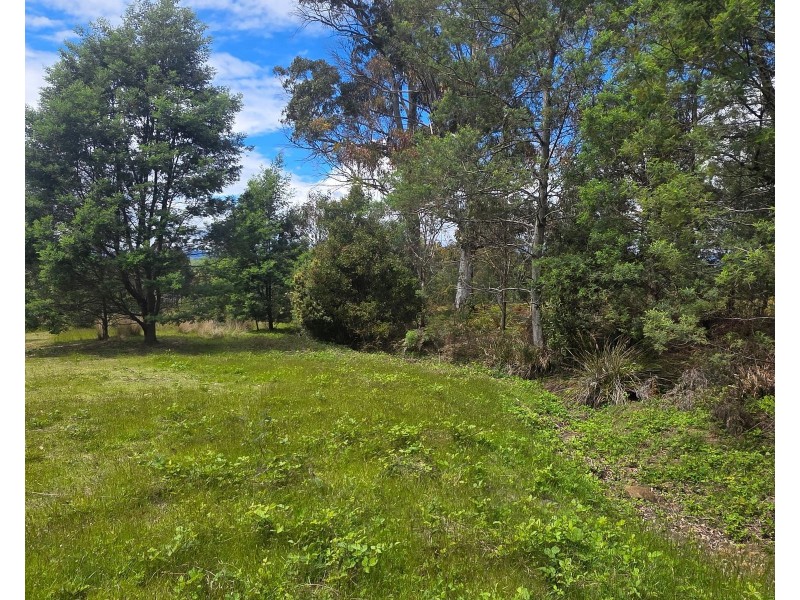487 Weetah Road, Weetah TAS 7304