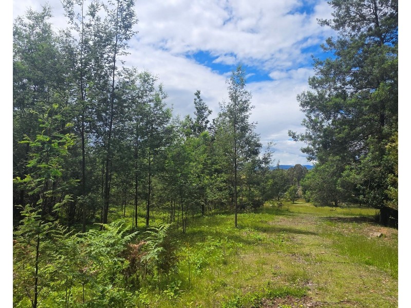 487 Weetah Road, Weetah TAS 7304