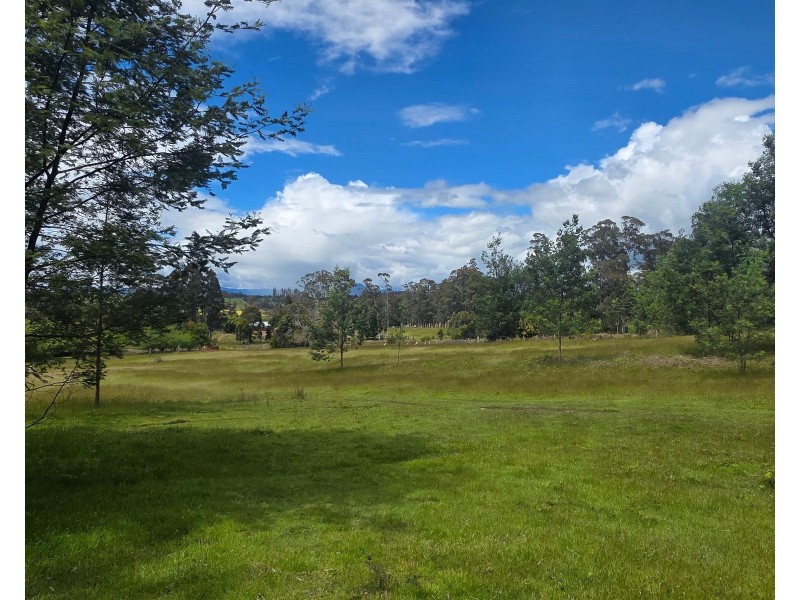 487 Weetah Road, Weetah TAS 7304
