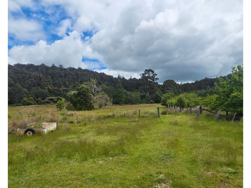 487 Weetah Road, Weetah TAS 7304