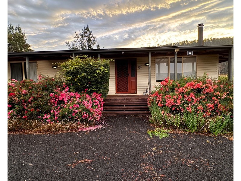 37 Union Bridge Road, Mole Creek TAS 7304