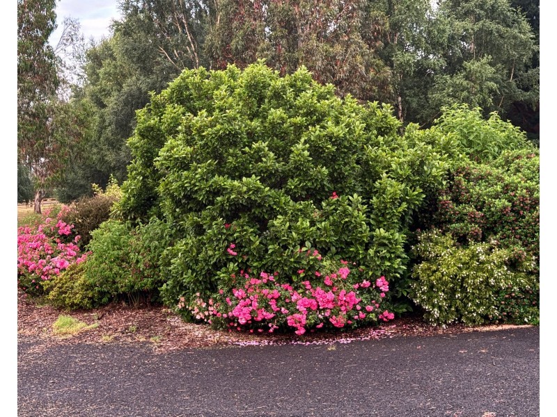 37 Union Bridge Road, Mole Creek TAS 7304