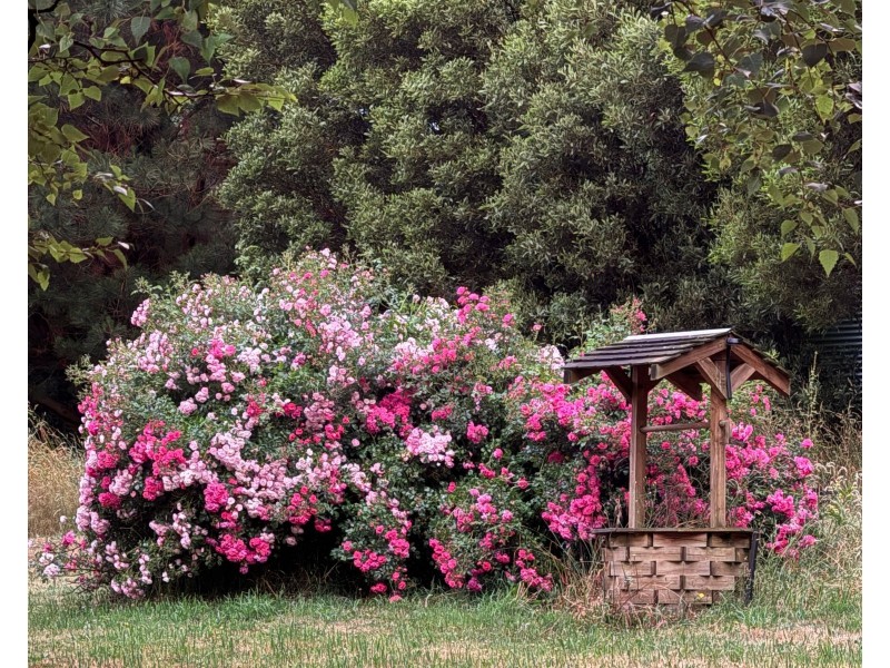 37 Union Bridge Road, Mole Creek TAS 7304