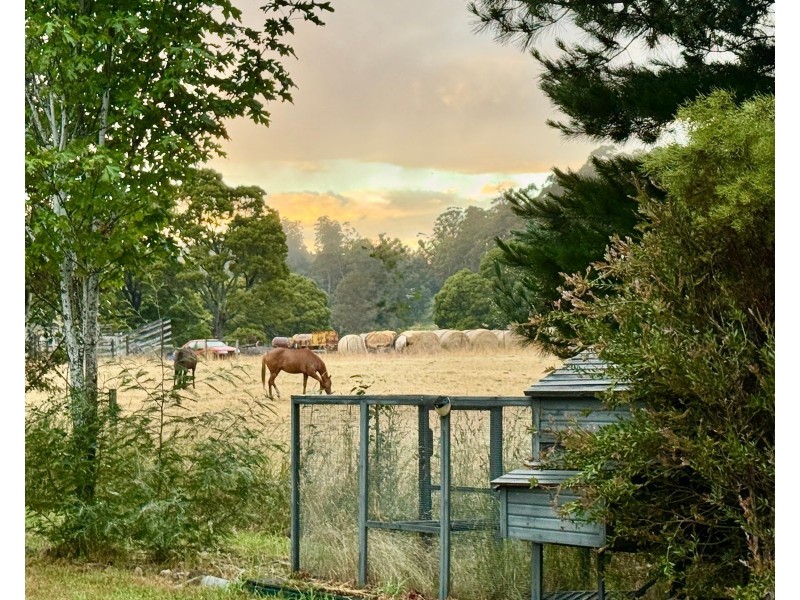 37 Union Bridge Road, Mole Creek TAS 7304