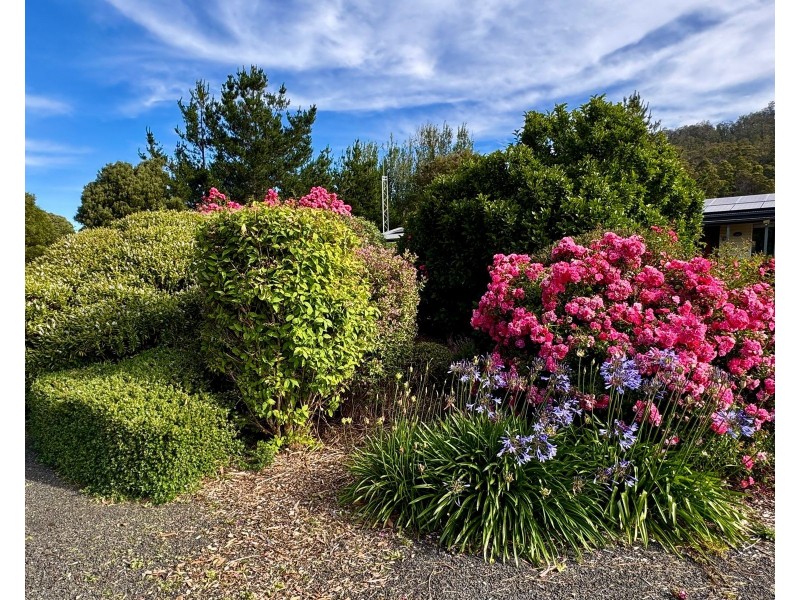 37 Union Bridge Road, Mole Creek TAS 7304