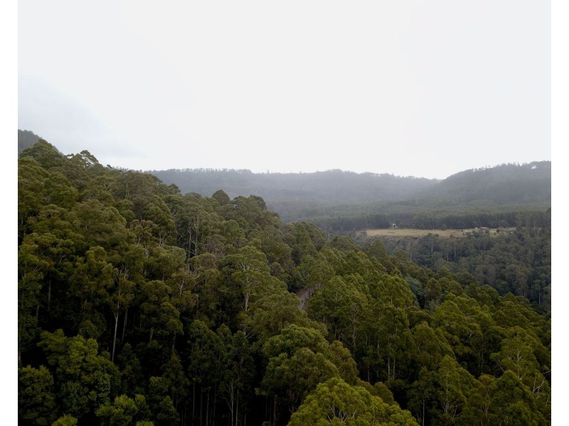 400 Olivers Road, Liena TAS 7304