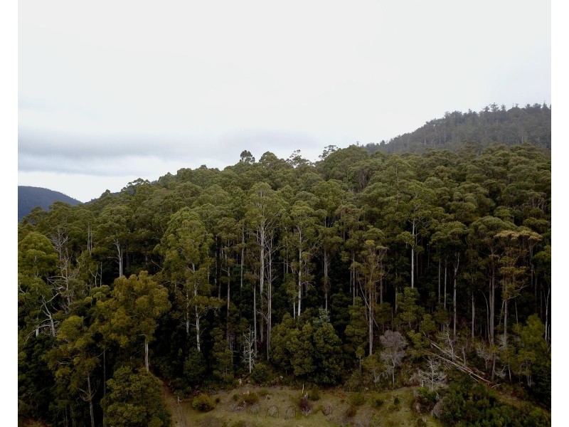 400 Olivers Road, Liena TAS 7304