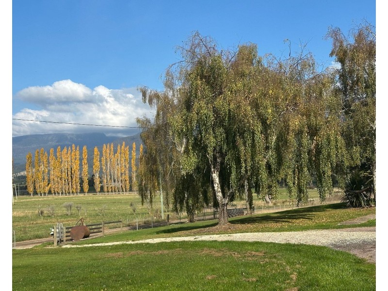 79 Bayles Road, Caveside TAS 7304