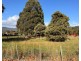 123  Main Road, Meander TAS 7304