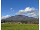 123  Main Road, Meander TAS 7304