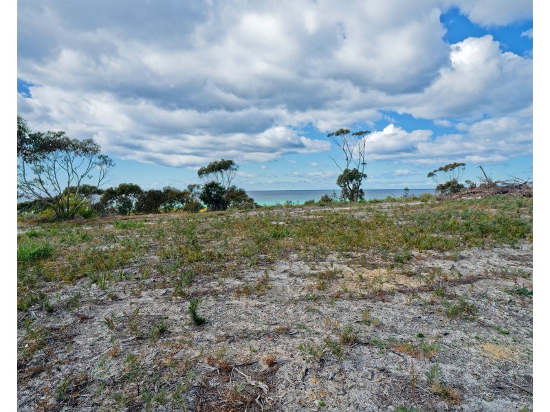 Lot/36 Wrinklers Drive, Scamander TAS 7215