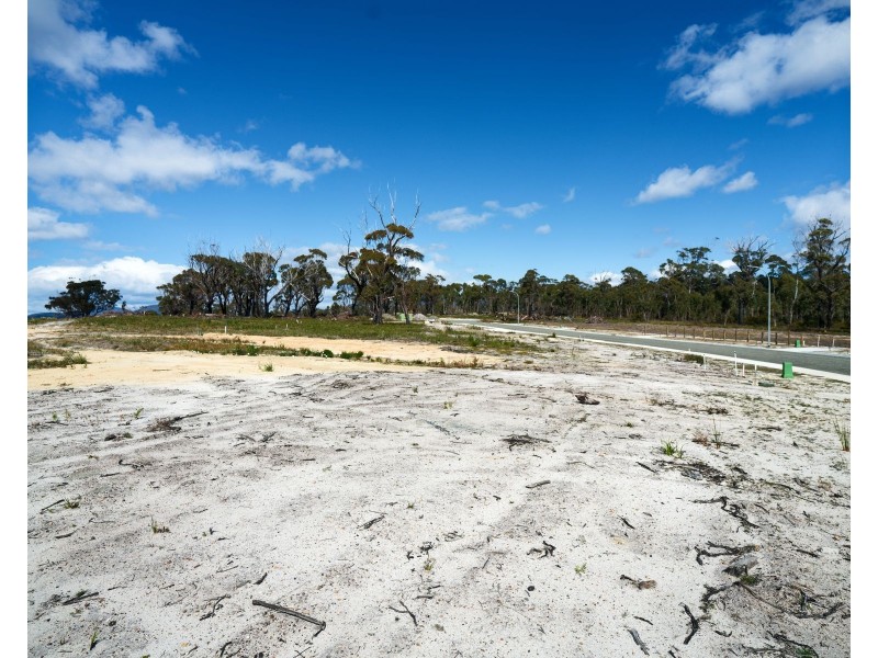 Lot/36 Wrinklers Drive, Scamander TAS 7215