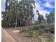Lot 2 Wadleys Road, Reedy Marsh TAS 7304