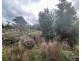 Lot 2 Wadleys Road, Reedy Marsh TAS 7304