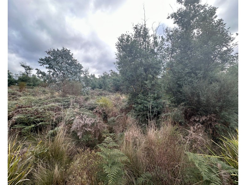 Lot 2 Wadleys Road, Reedy Marsh TAS 7304