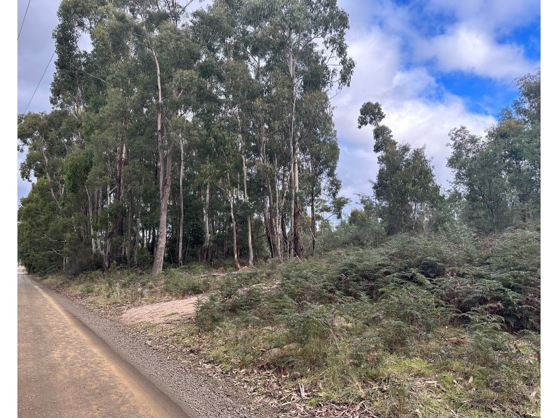 Lot 2 Wadleys Road, Reedy Marsh TAS 7304