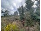 Lot 2 Wadleys Road, Reedy Marsh TAS 7304