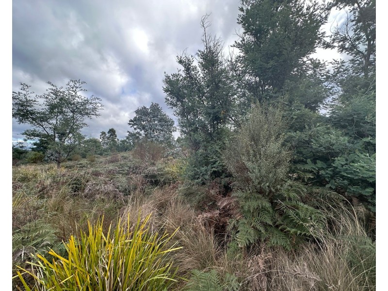 Lot 2 Wadleys Road, Reedy Marsh TAS 7304