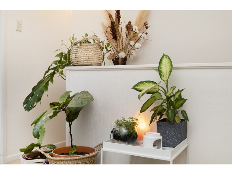 18 Torino Street, Zillmere QLD 4034