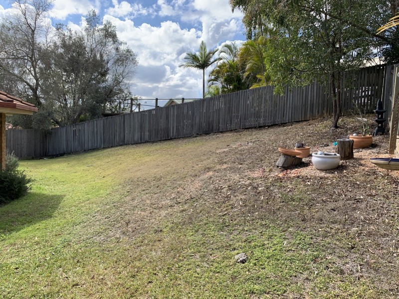 16 Hatia Grove, Ferny Grove QLD 4055